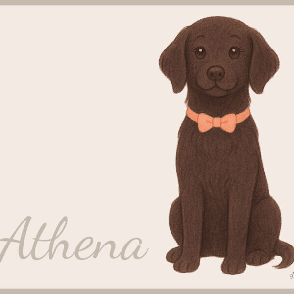 tovaglietta personalizzata cane nome colore bibibaby